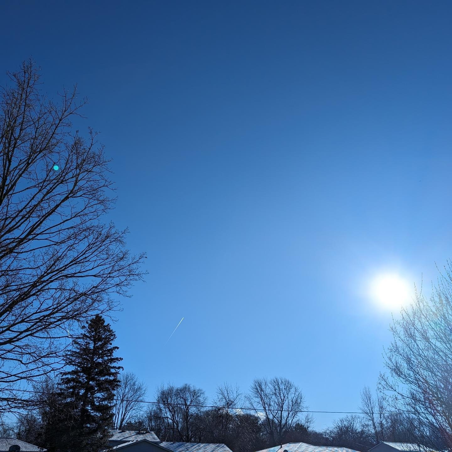 Winter February 6th 2024 Greylupine Photography winter-february-6th-2024-greylupine-photography